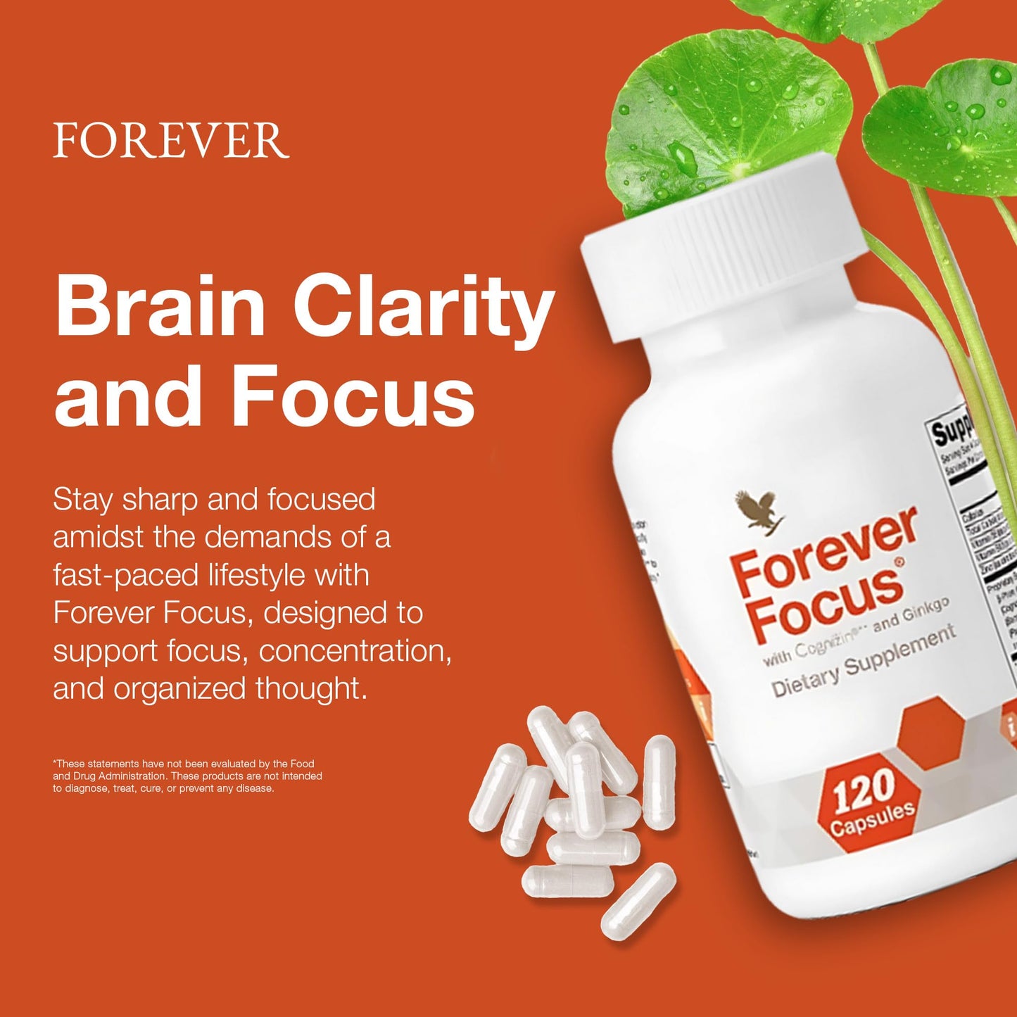 Mental Clarity, Brain Boost & Cognitive Power
